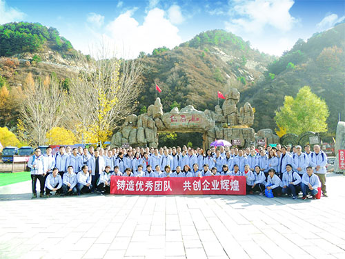 海利集團(tuán),長沙殺蟲劑,長沙光氣衍生物,長沙氨基酸保護(hù)劑,長沙鋰離子電池材料