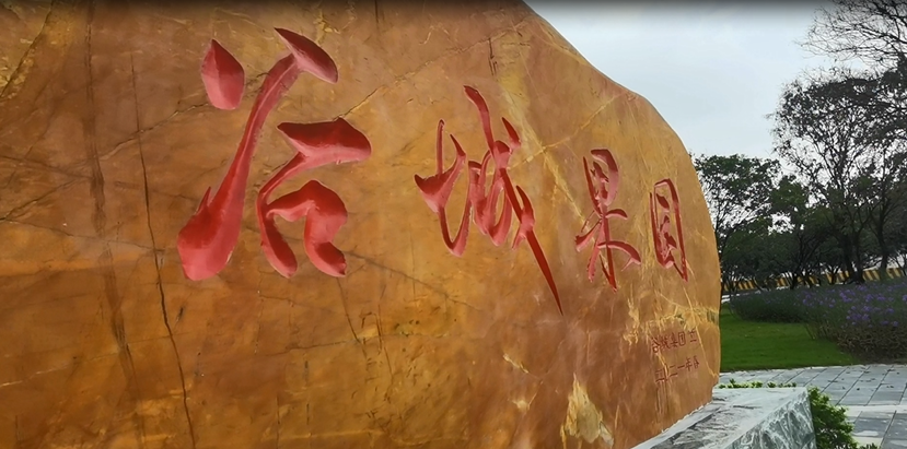 谷城礦業(yè)直播：走進(jìn)“谷城果園”！